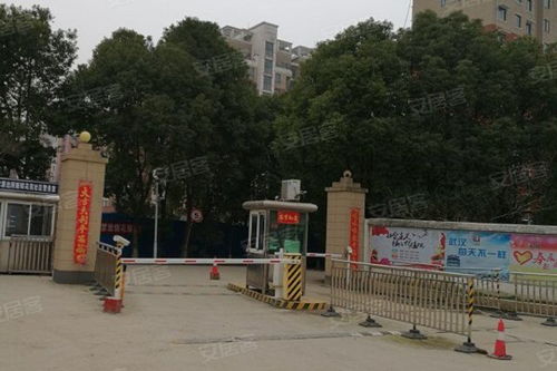 新阳花苑深度解析 优缺点、居住体验与周边房产中介评价