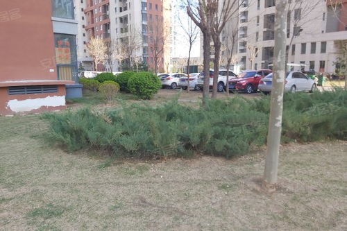 金海城综合评价 优势、不足与周边中介服务分析